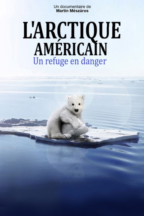Arctic (2020) poster
