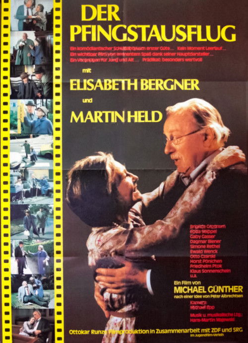 Der Pfingstausflug (1978) poster