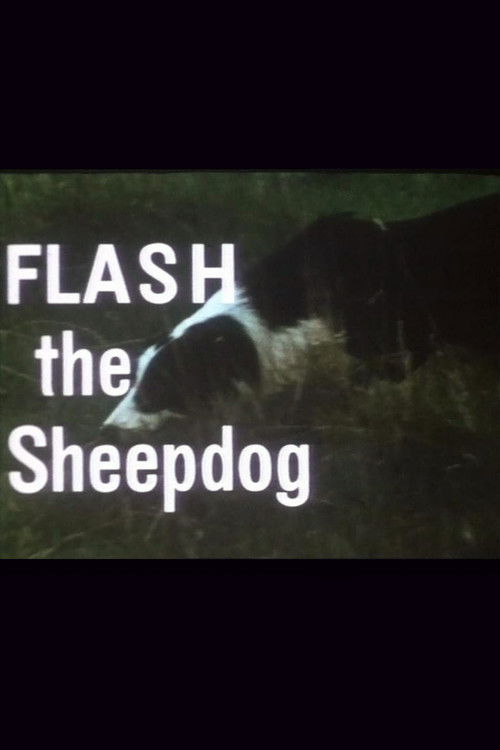 Flash the Sheepdog (1966) poster