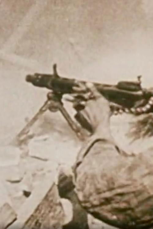 La Queue Tigrée D'un Chat Comme Un Pendentif de Pare-Brise (1989) poster