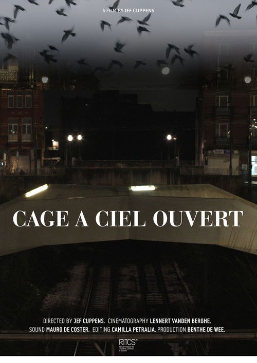Cage À Ciel Ouvert (2025) poster