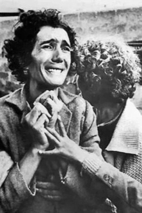 50 Years of Cyprus: Separation (1999) poster