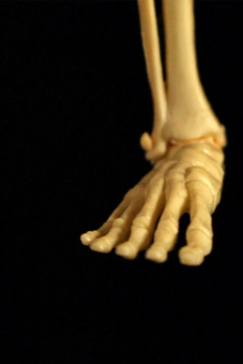 My Summer with Raúl (2020) poster