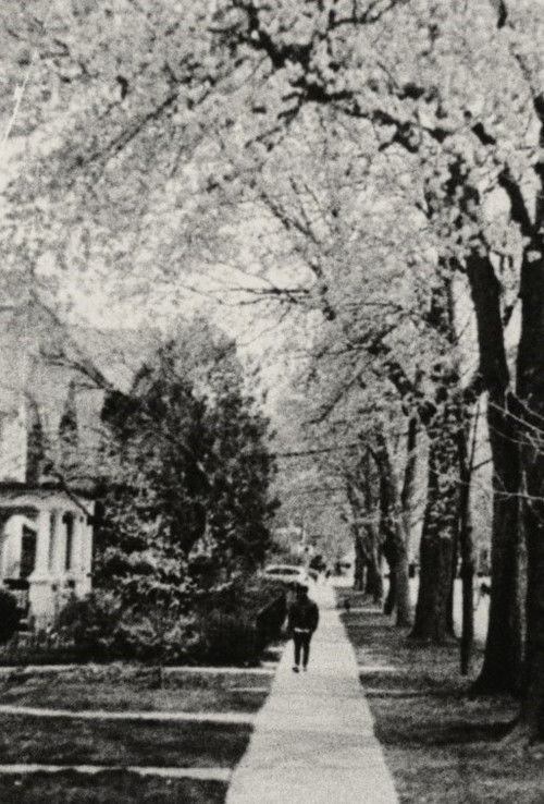 Delight at Robert St. (2022) poster