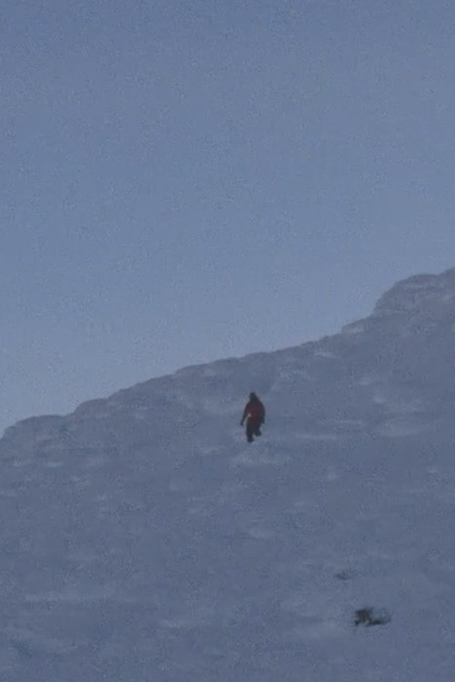 The Observers (2012) poster