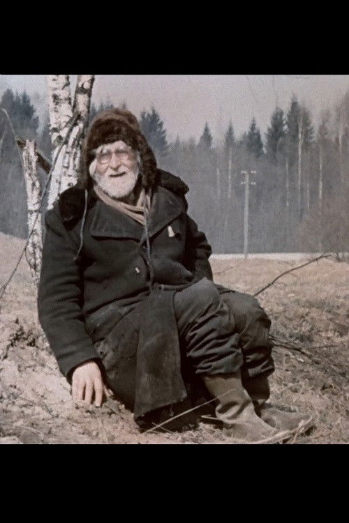 Cogito, ergo sum (1990) poster