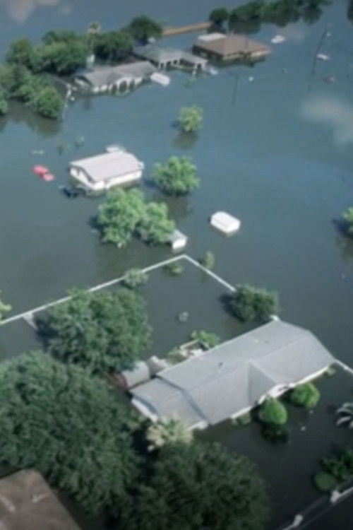 Into the Deluge (2017) poster