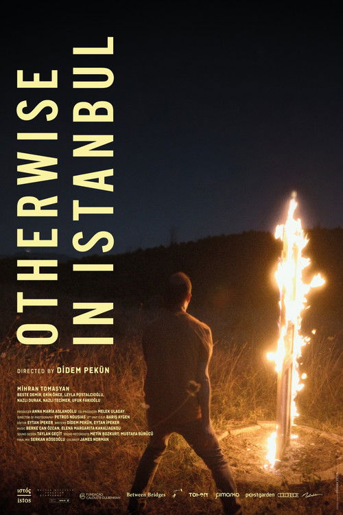 Otherwise in Istanbul (2024) poster