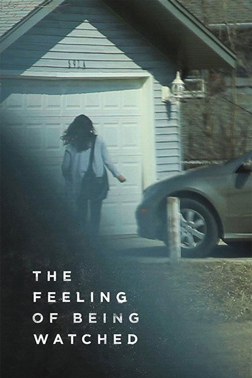 The Feeling of Being Watched (2018) poster