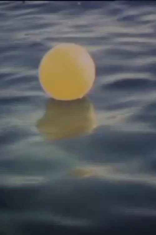 I Swam in the Sea Last Week (2003) poster