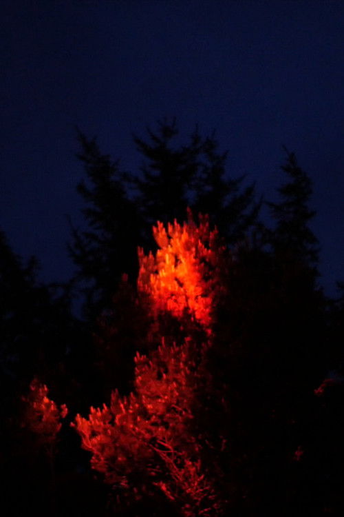 I'll Remember You as You Were, Not as What You'll Become (2016) poster