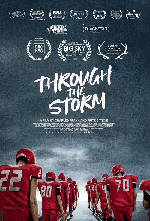 Through the Storm (2024) poster