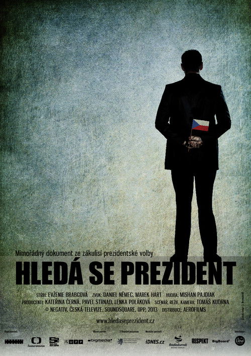 President Wanted (2013) poster