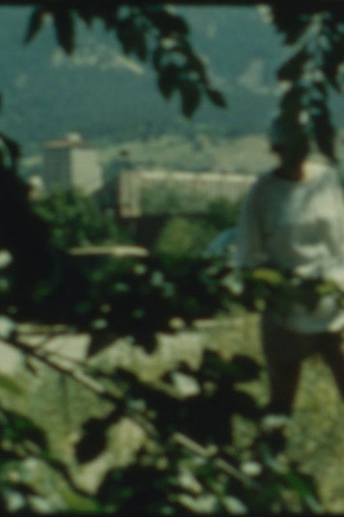 Confession (1986) poster