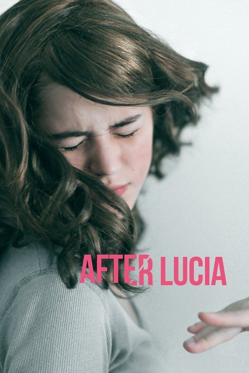 After Lucia (2012) poster