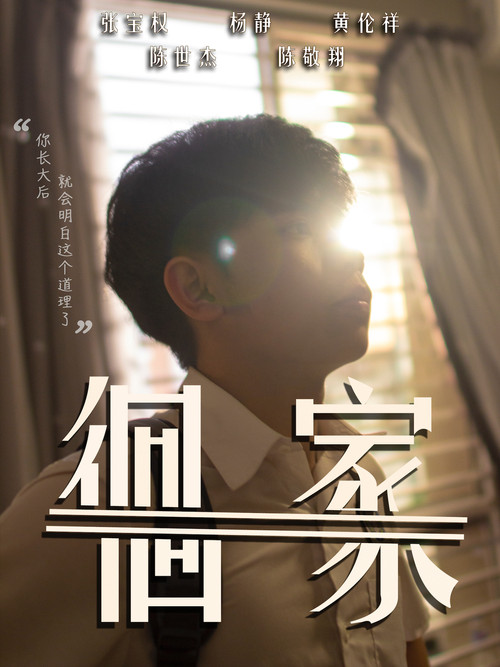 Parallels Home (2021) poster