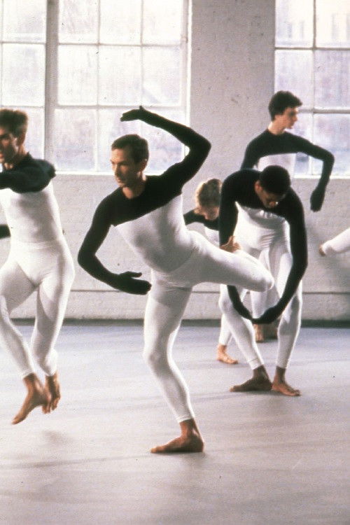 Beach Birds for Camera (1992) poster