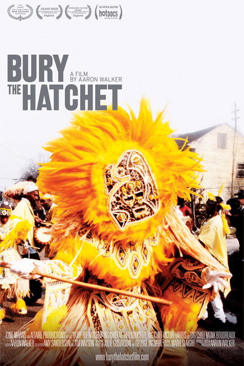 Bury The Hatchet (2010) poster
