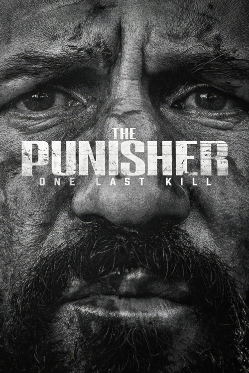 The Punisher: One Last Kill (2026) poster