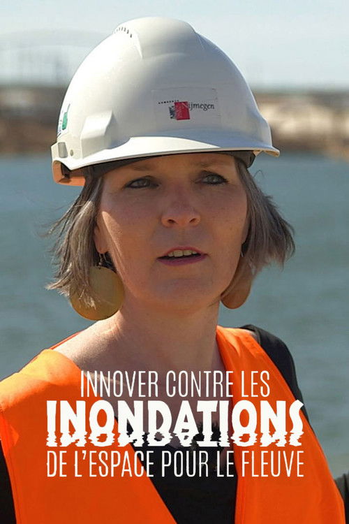 De l’espace pour le fleuve - Innover contre les inondations (2015) poster