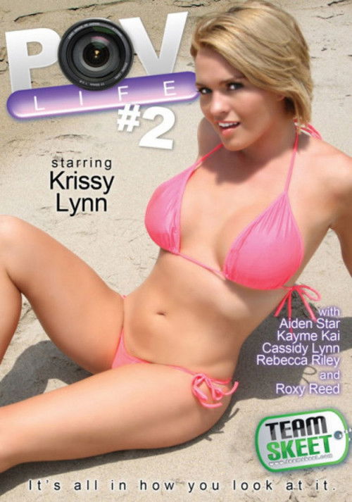 POV Life 2 (2011) poster