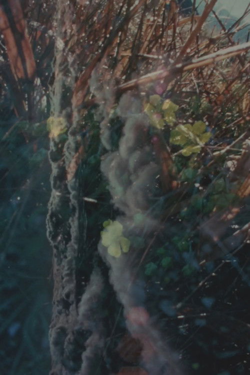 River Film (1972) poster