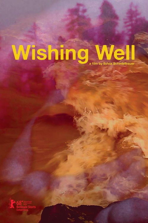 Wishing Well (2018) poster