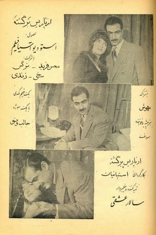 از پاریس برگشته (1959) poster