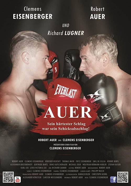 Auer (2017) poster