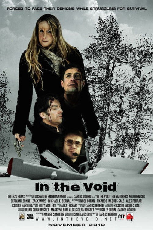 In the Void (2013) poster