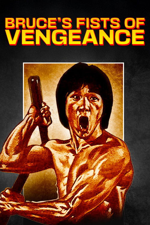 Bruce's Fists Of Vengeance (1980) poster