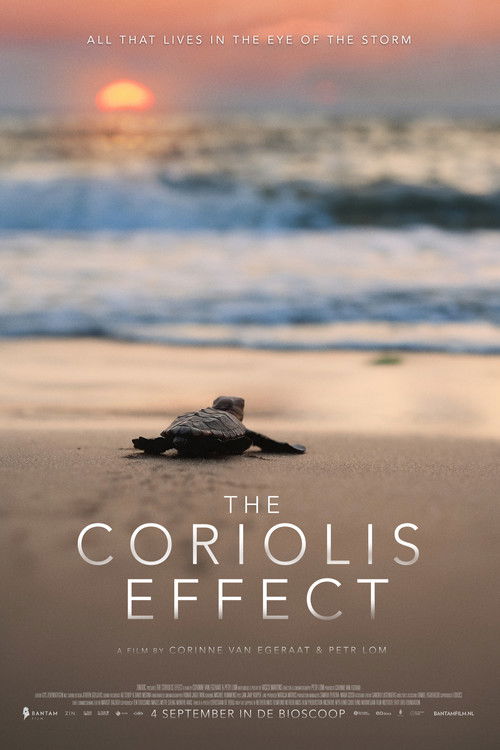 The Coriolis Effect (2025) poster