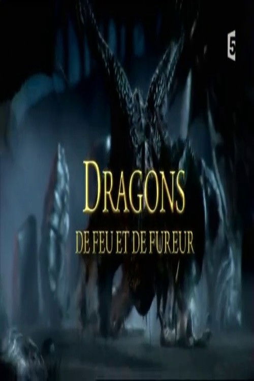 Dragons de feu et de fureur (2017) poster