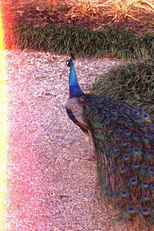 Otherhood (2023) poster