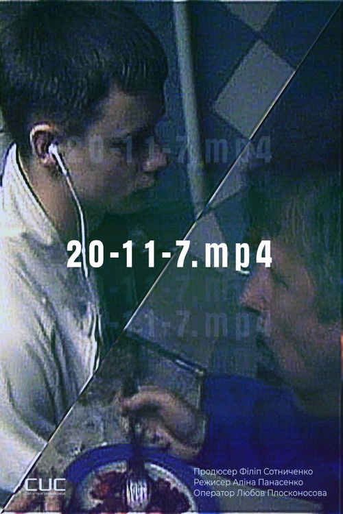 20-11-7.mp4 (2021) poster