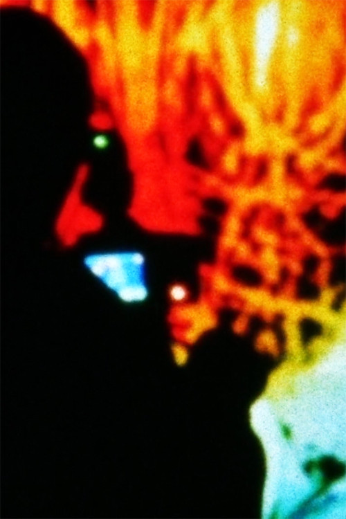 Rhizomatic Directed Simulation (2014) poster