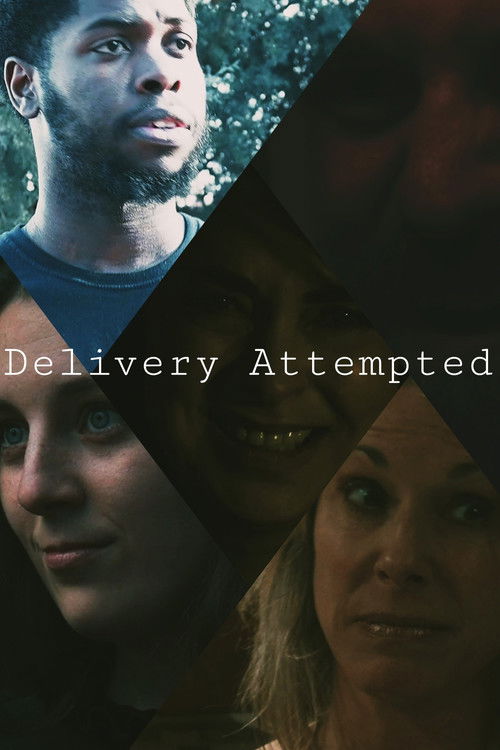 Delivery Attempted (2023) poster