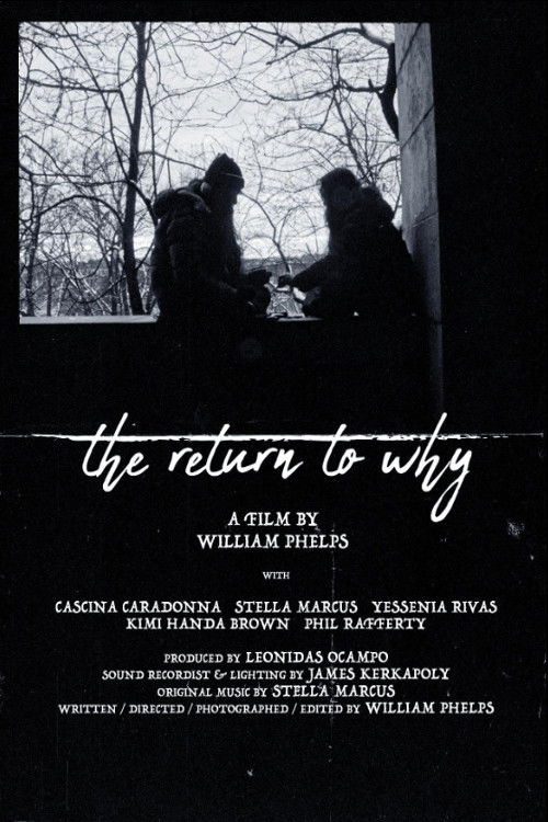 The Return to Why (2024) poster