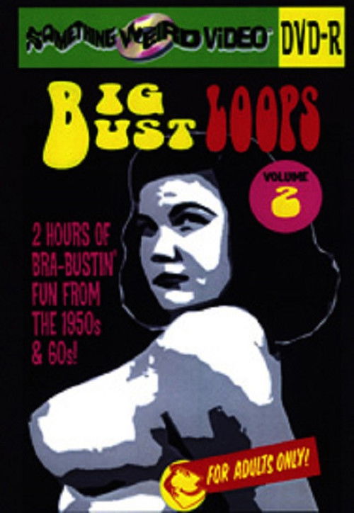 Big Bust Loops Volume 2 (2009) poster
