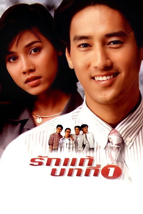 รักแท้บทที่ 1 (1995) poster
