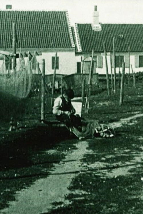At the Sea Shore (1909) poster