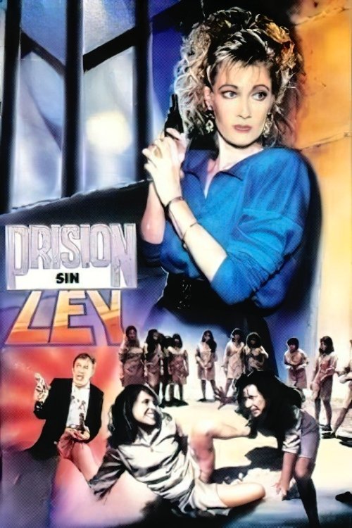 Prison Without Law (1990) poster