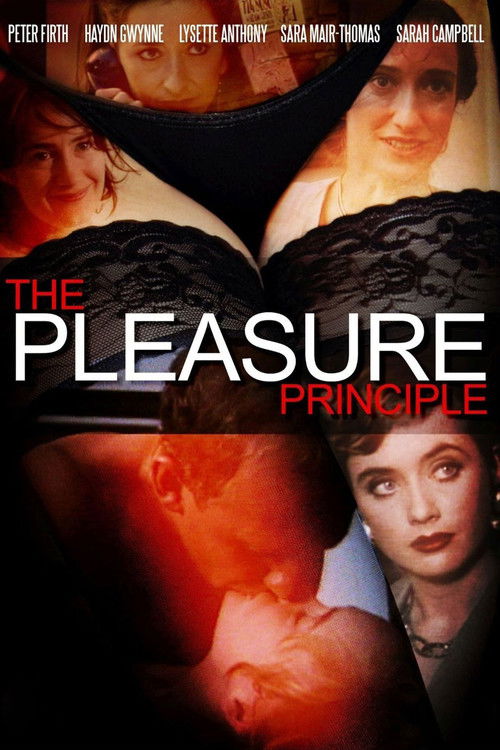 The Pleasure Principle (1992) poster