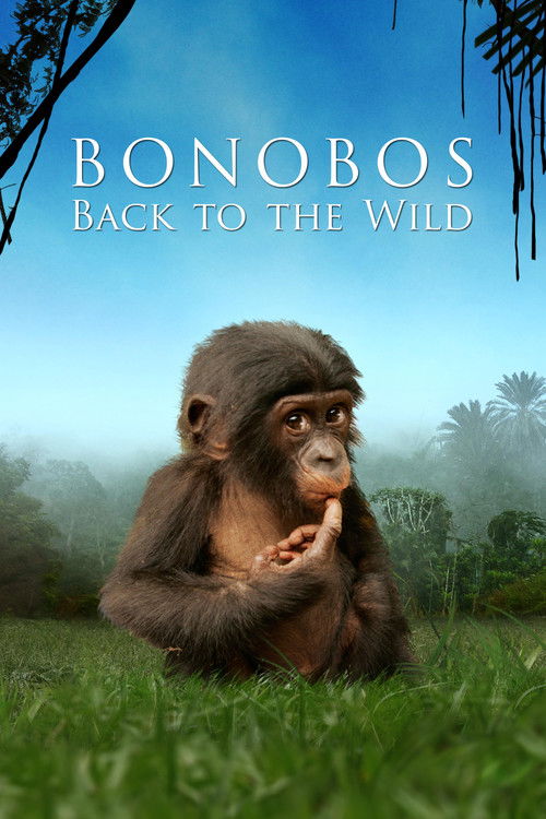 Bonobos (2011) poster