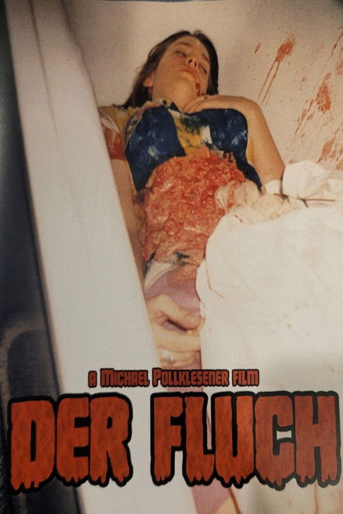 Der Fluch (1995) poster