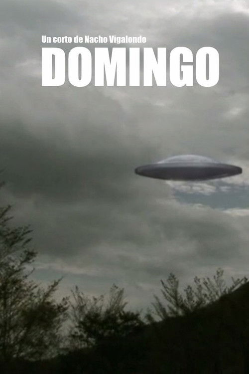 Domingo (2007) poster