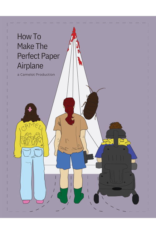 How To Make The *Perfect* Paper Airplane (2025) poster