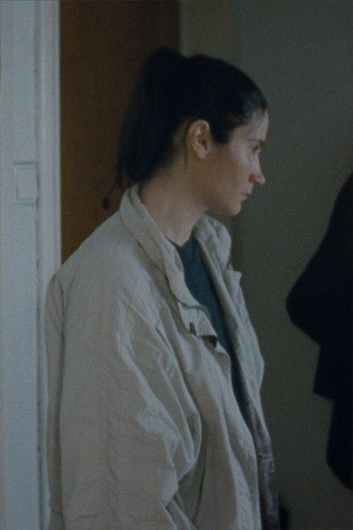 Fragments of Gabi (2016) poster