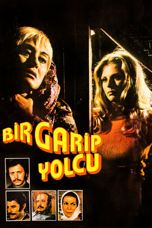 Bir Garip Yolcu (1973) poster