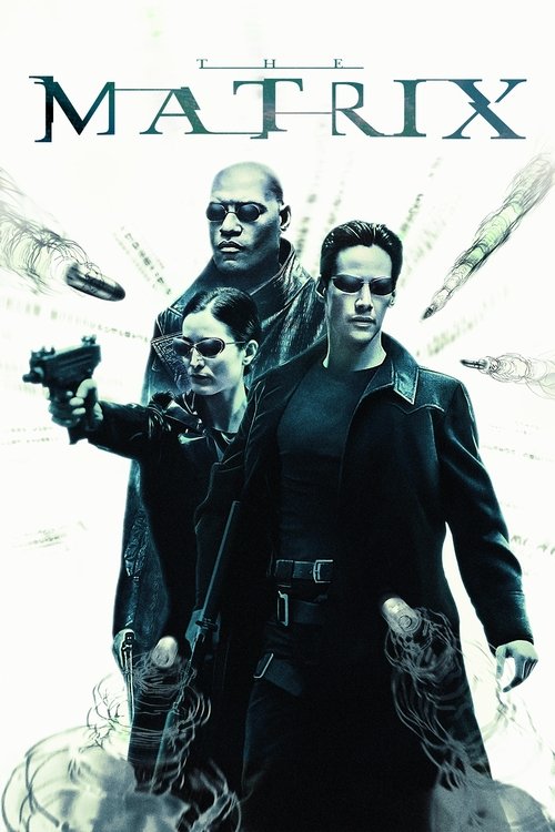 Matrix (1999) poster